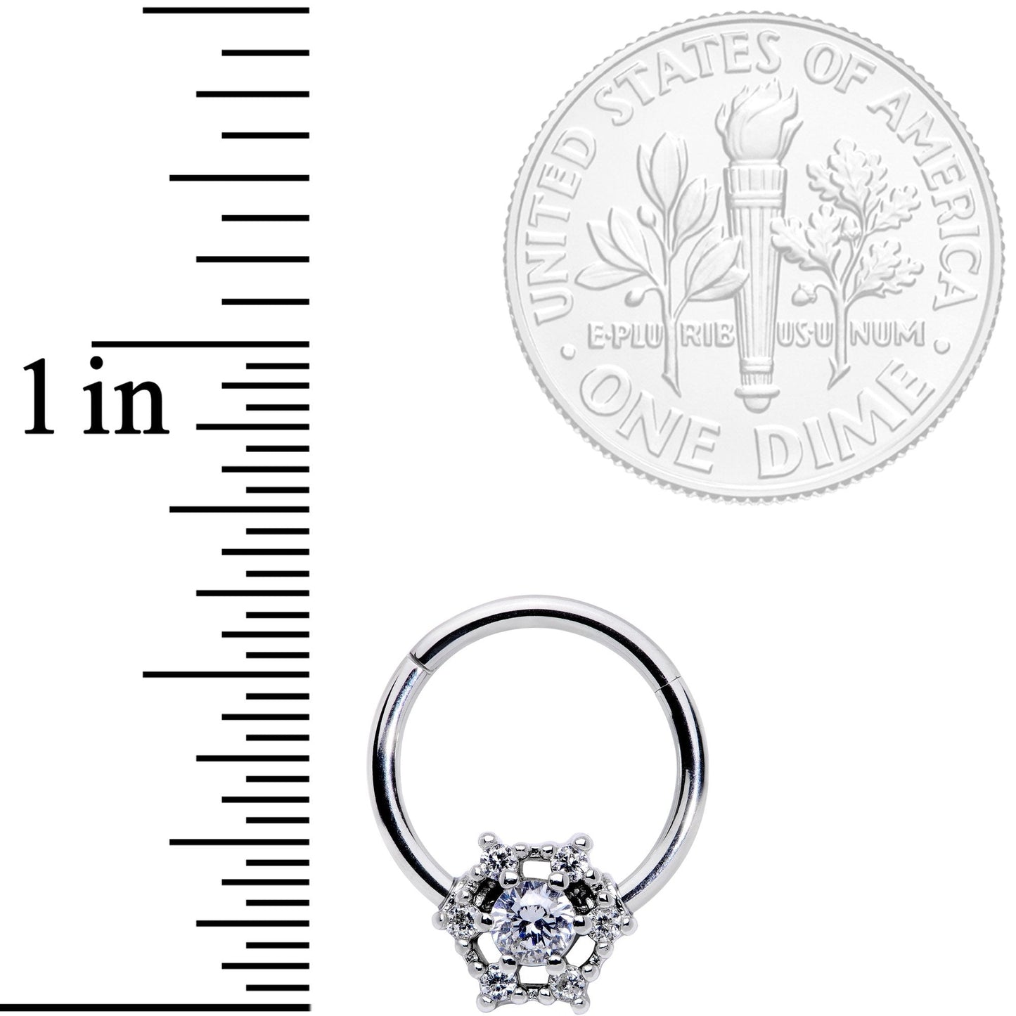 16 Gauge 3/8 Clear Gem Web of Glamour Hinged Segment Ring