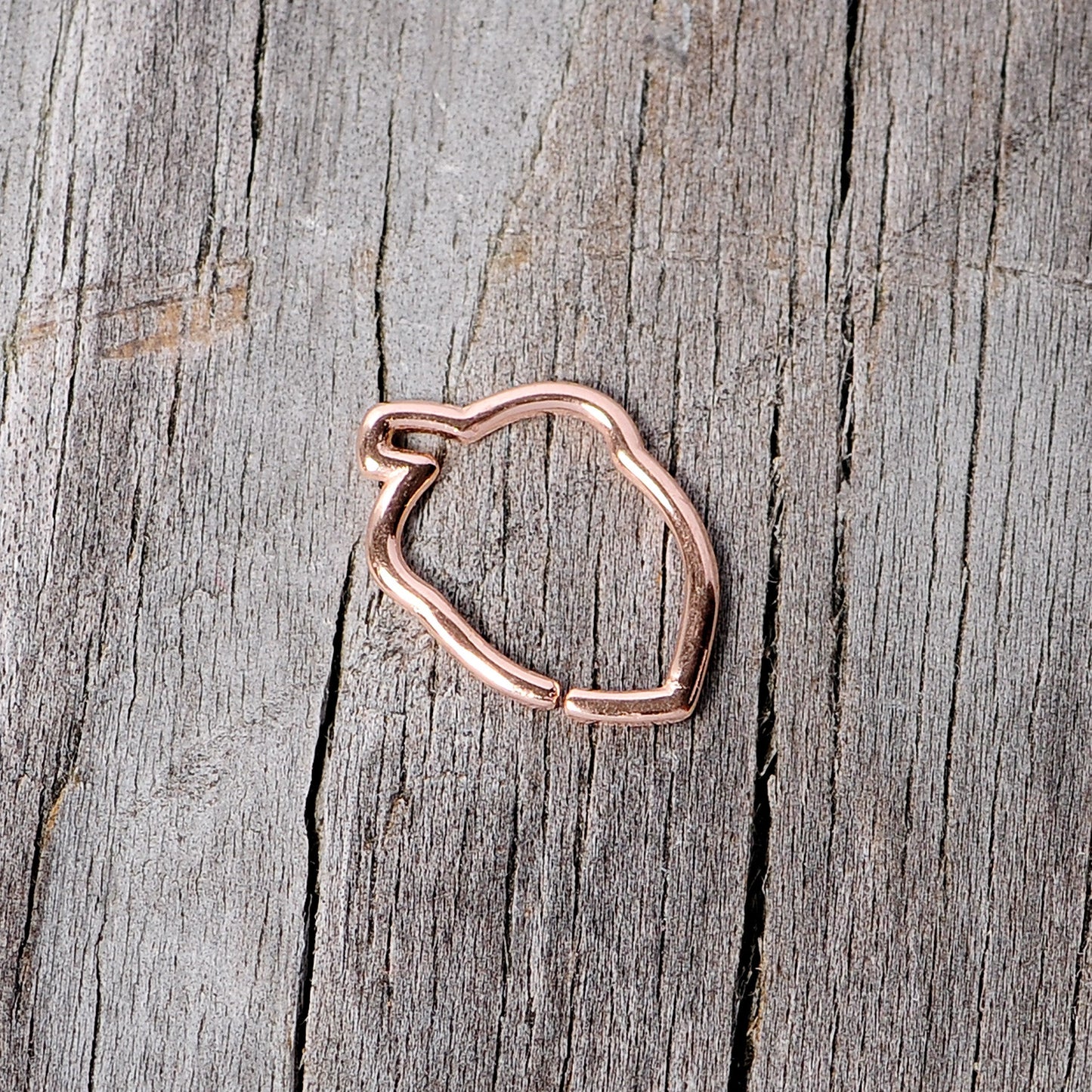 16 Gauge 3/8 Rose Gold Tone Autumn Acorn Closure Ring