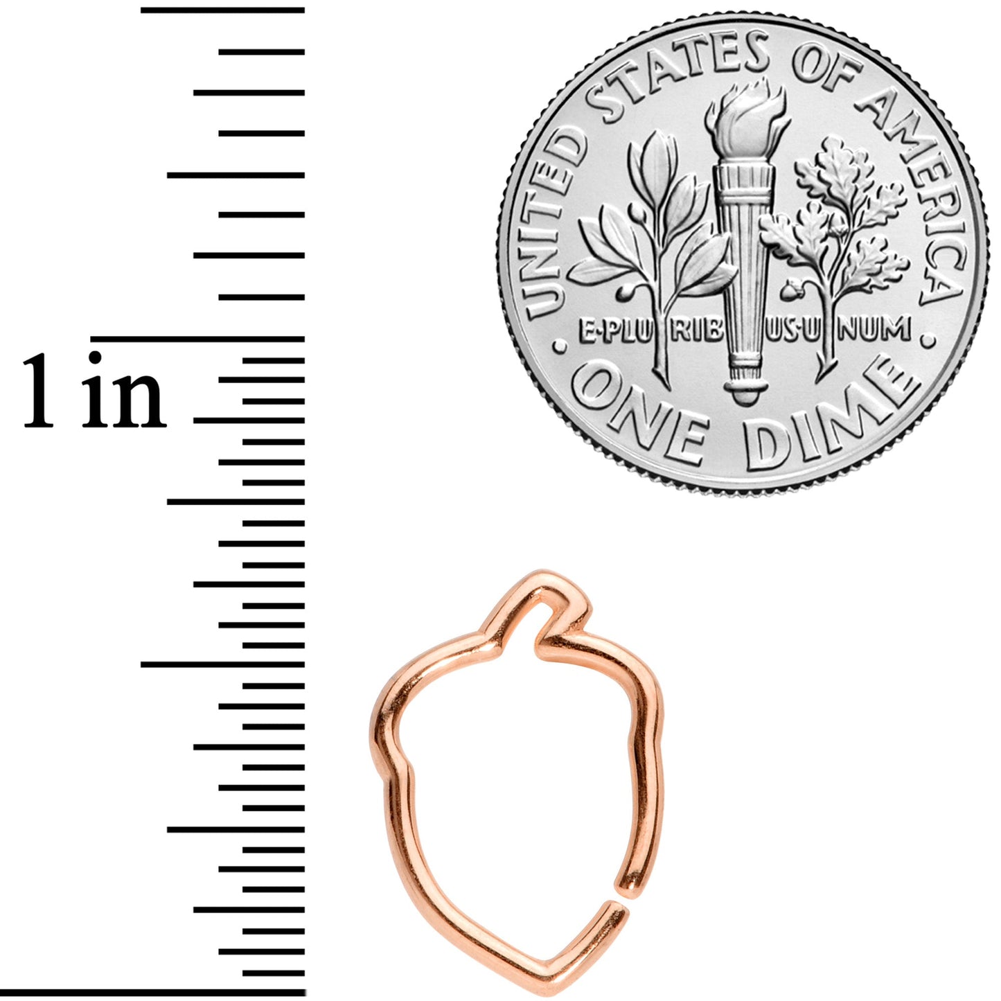 16 Gauge 3/8 Rose Gold Tone Autumn Acorn Closure Ring