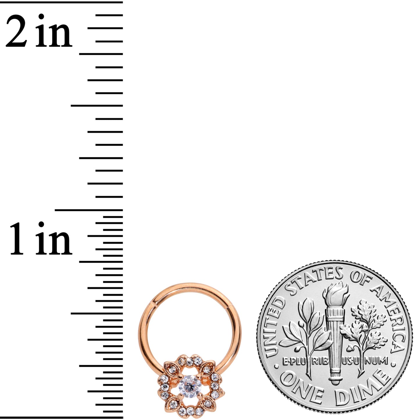 16 Gauge 3/8 Clear Gem Rose Gold Tone Wreath Hinged Segment Ring