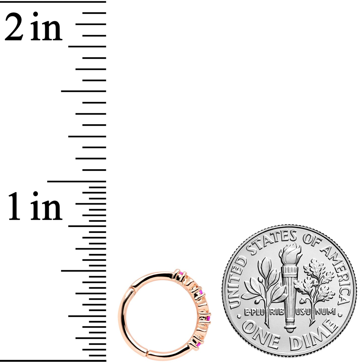 16 Gauge 3/8 Clear Pink CZ Gem Rose Gold Tone Hearts Hinged Segment Ring