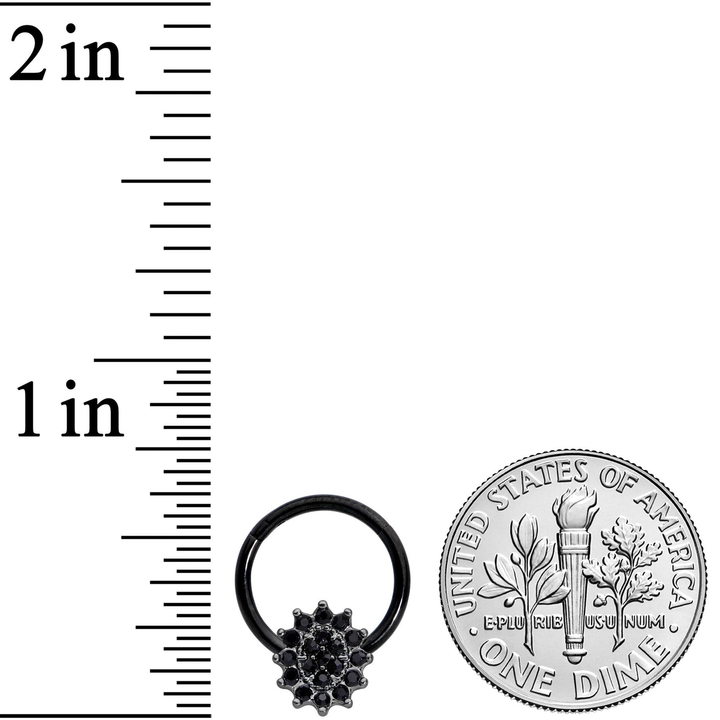 16 Gauge 3/8 Black Gem Black Oval Hinged Segment Ring