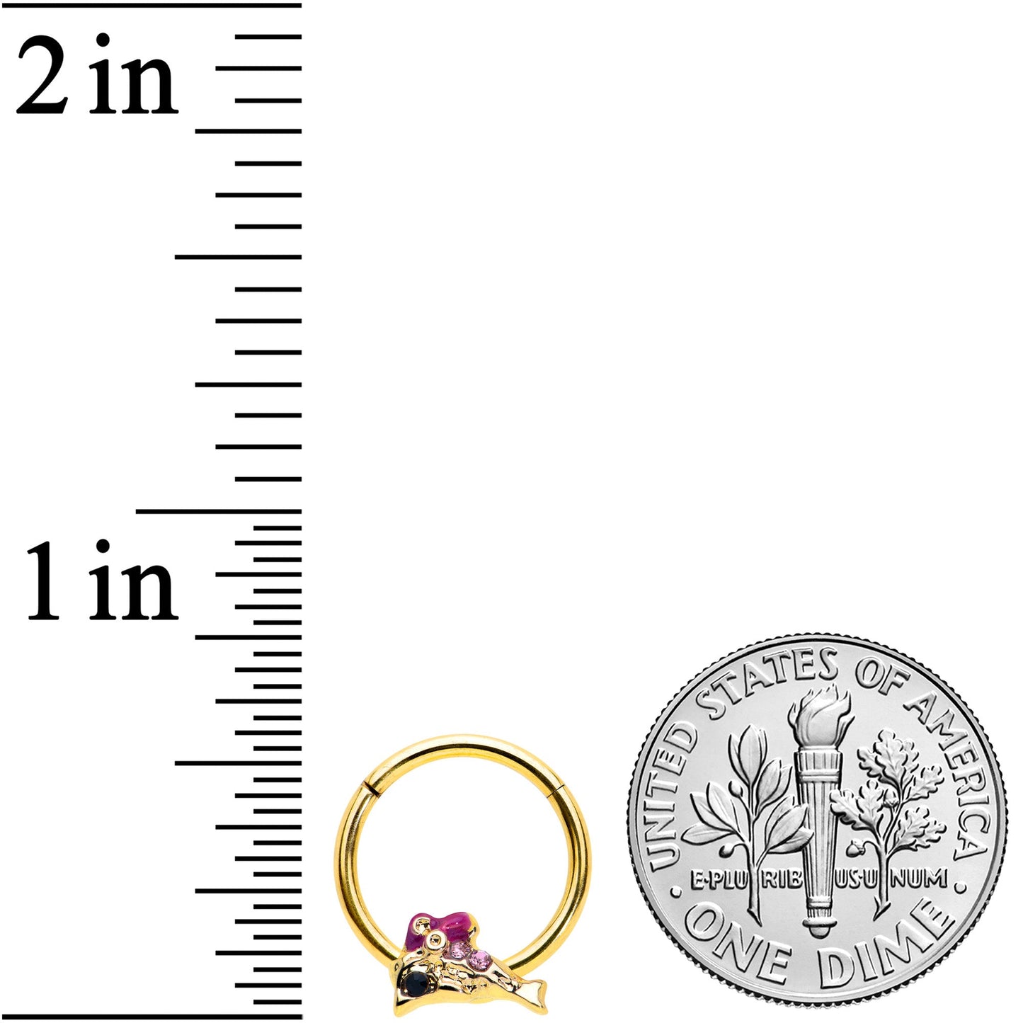 16 Gauge 3/8 Purple Gem Gold Tone Dainty Dolphin Hinged Segment Ring