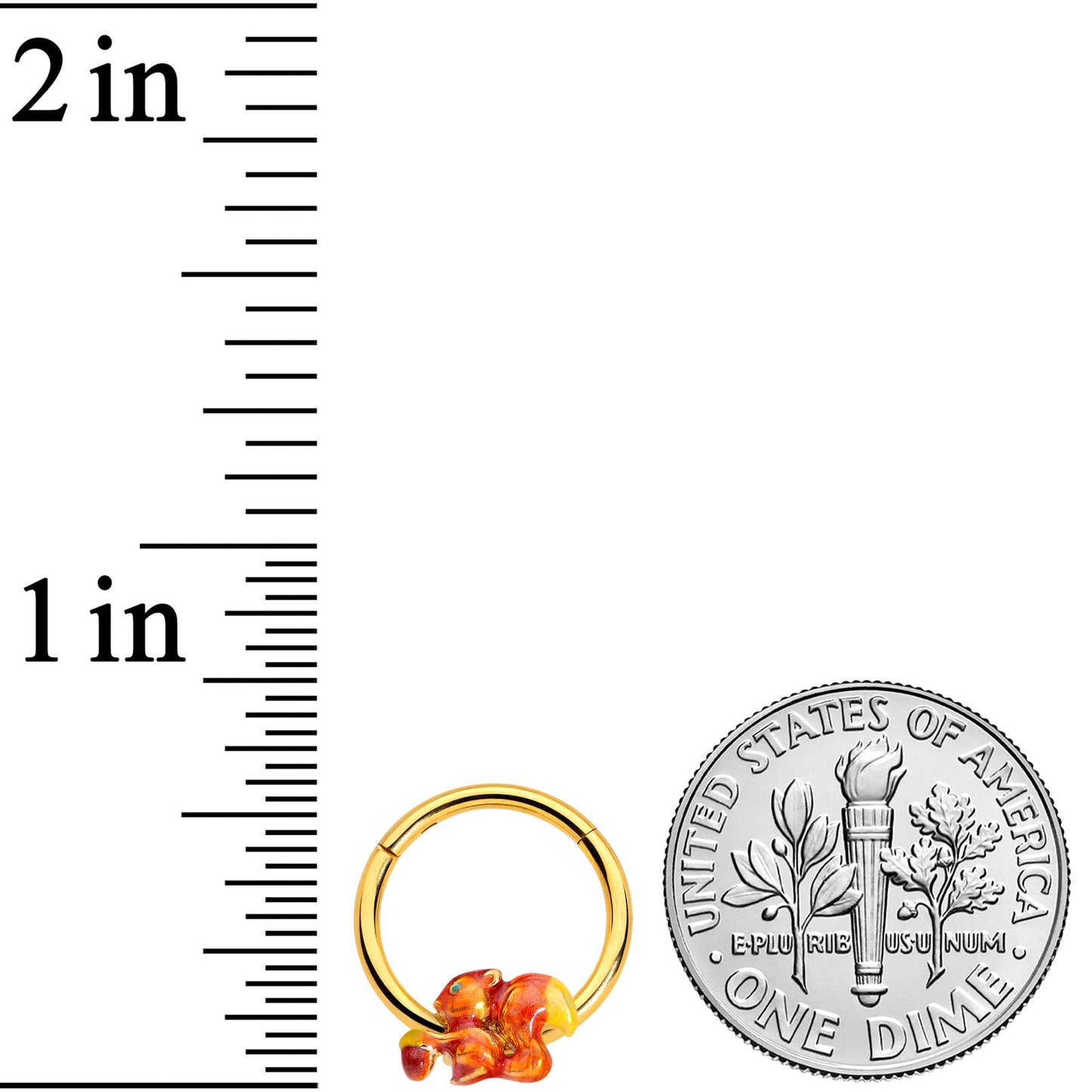 16 Gauge 3/8 Gold Tone Brown Happy Squirrel Acorn Hinged Segment Rnig