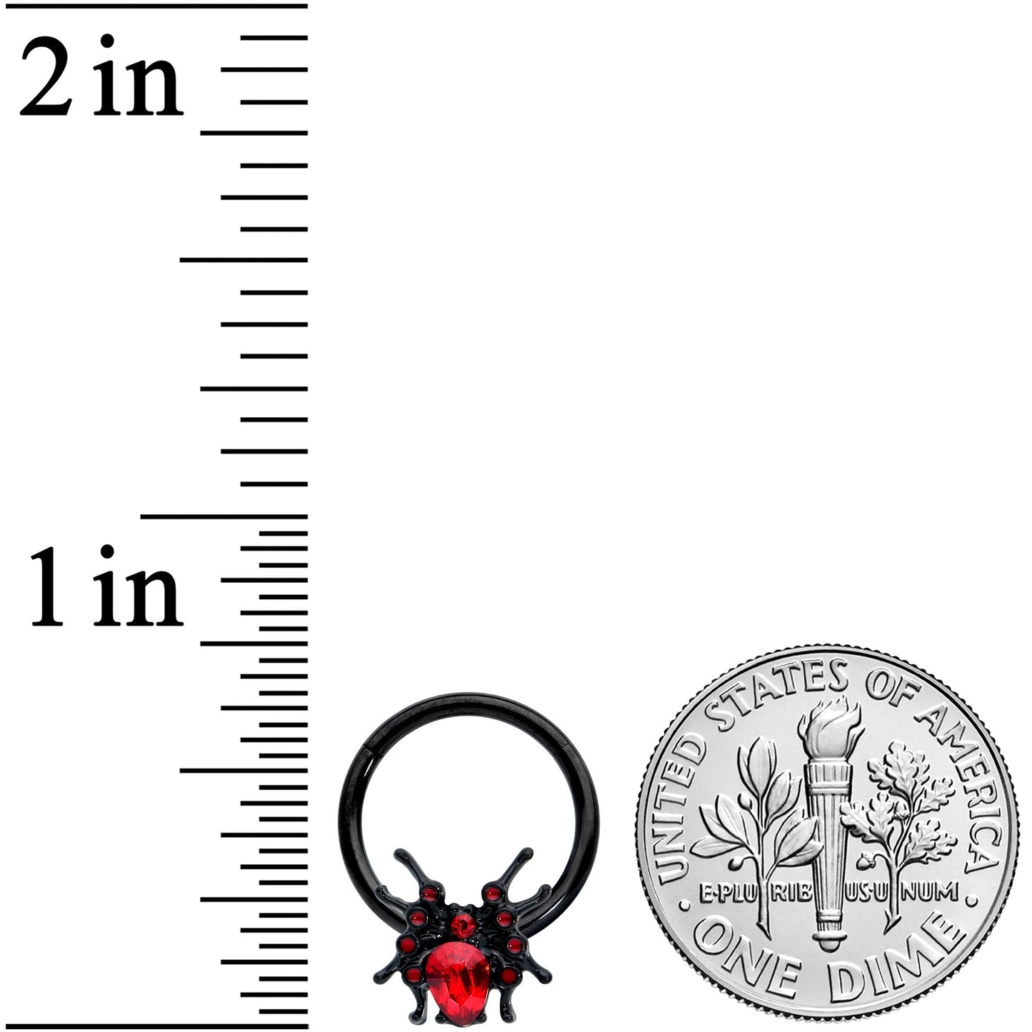 16 Gauge 3/8 Red Gem Black Spider Halloween Hinged Segment Ring
