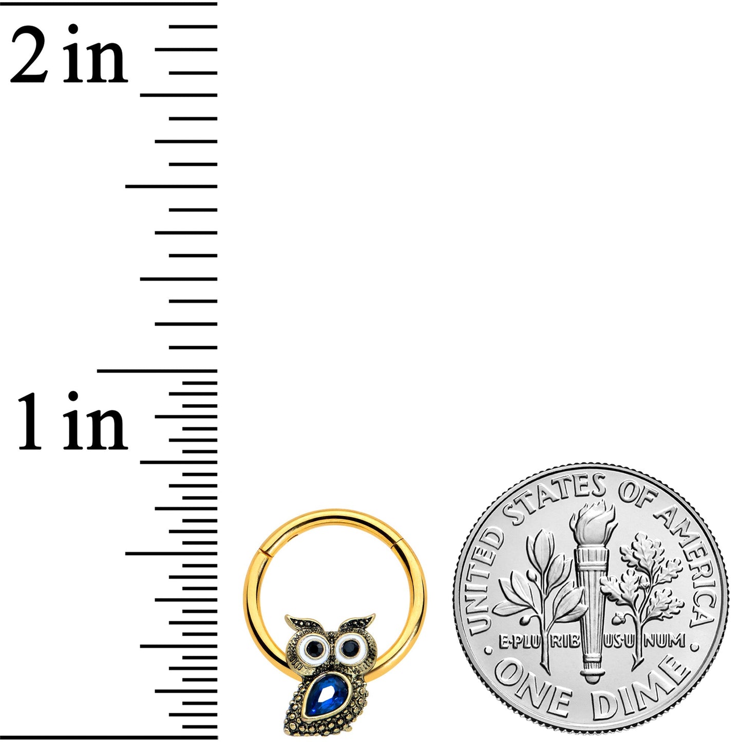 16 Gauge 3/8 Blue Gem Gold Tone Wide Eyed Owl Hinged Segment Ring