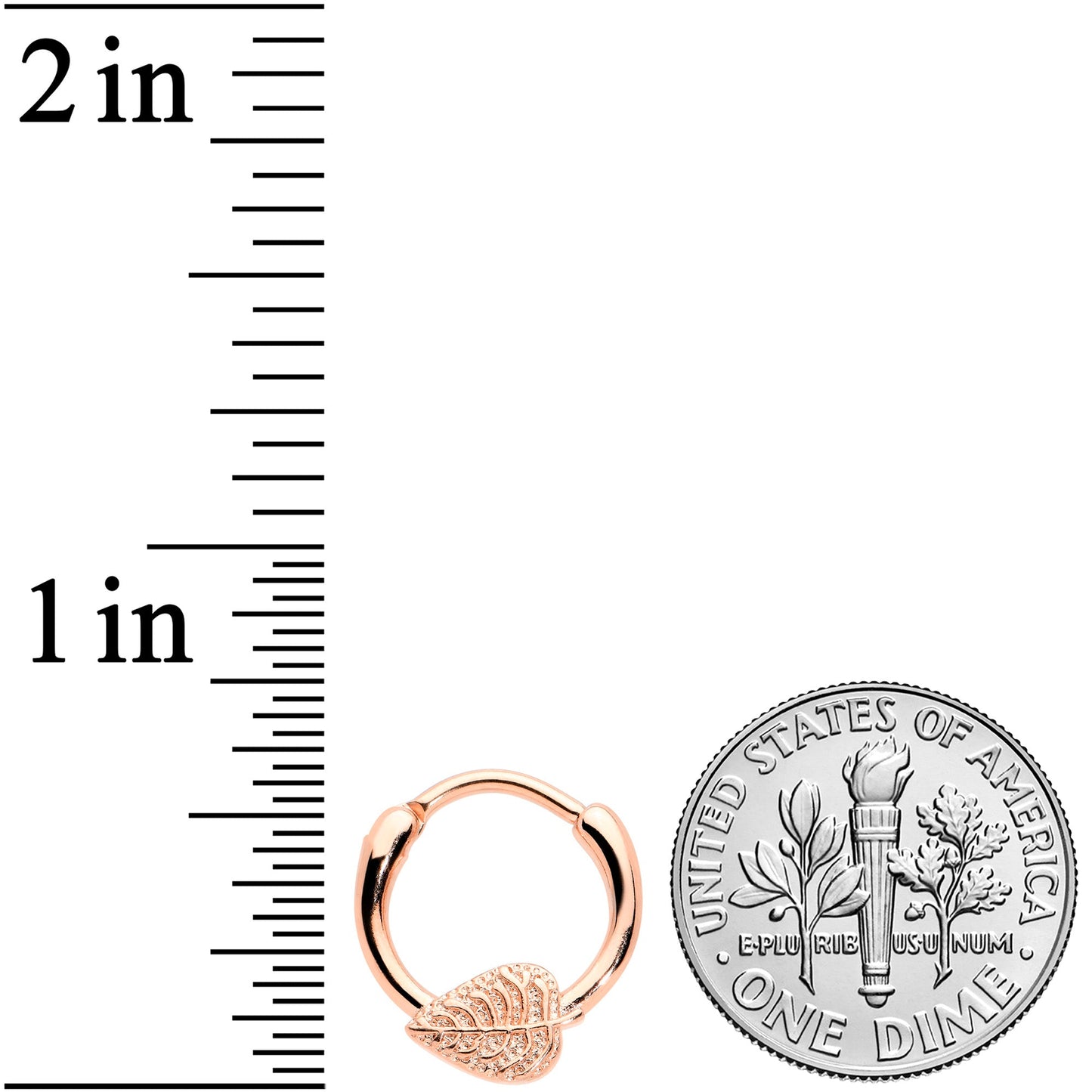 16 Gauge 3/8 Rose Gold Tone Autumn Texture Leaf Cartilage Clicker Ring