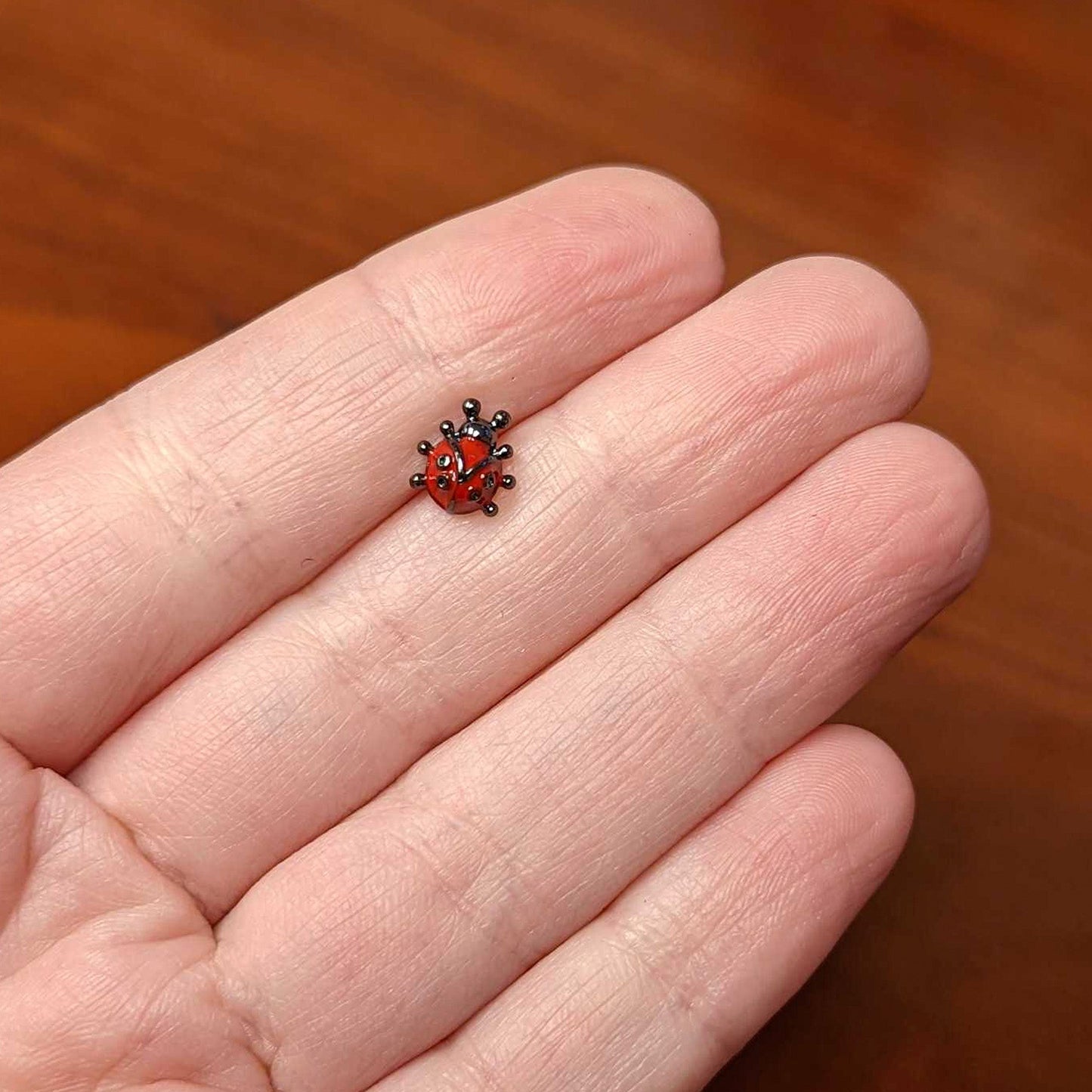 16 Gauge 1/4 Black Classic Ladybug Cartilage Tragus Earring