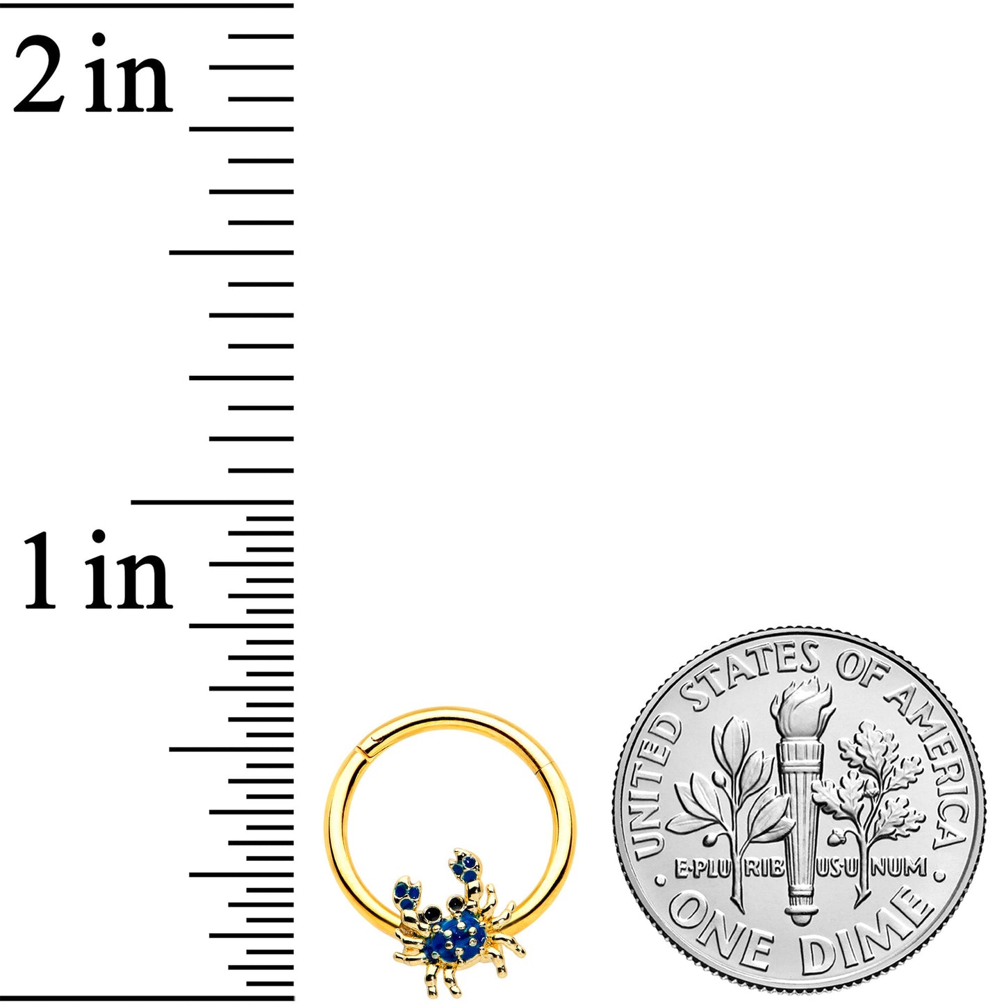 16 Gauge 3/8 Gold Tone Blue Crab Nautical Hinged Segment Ring