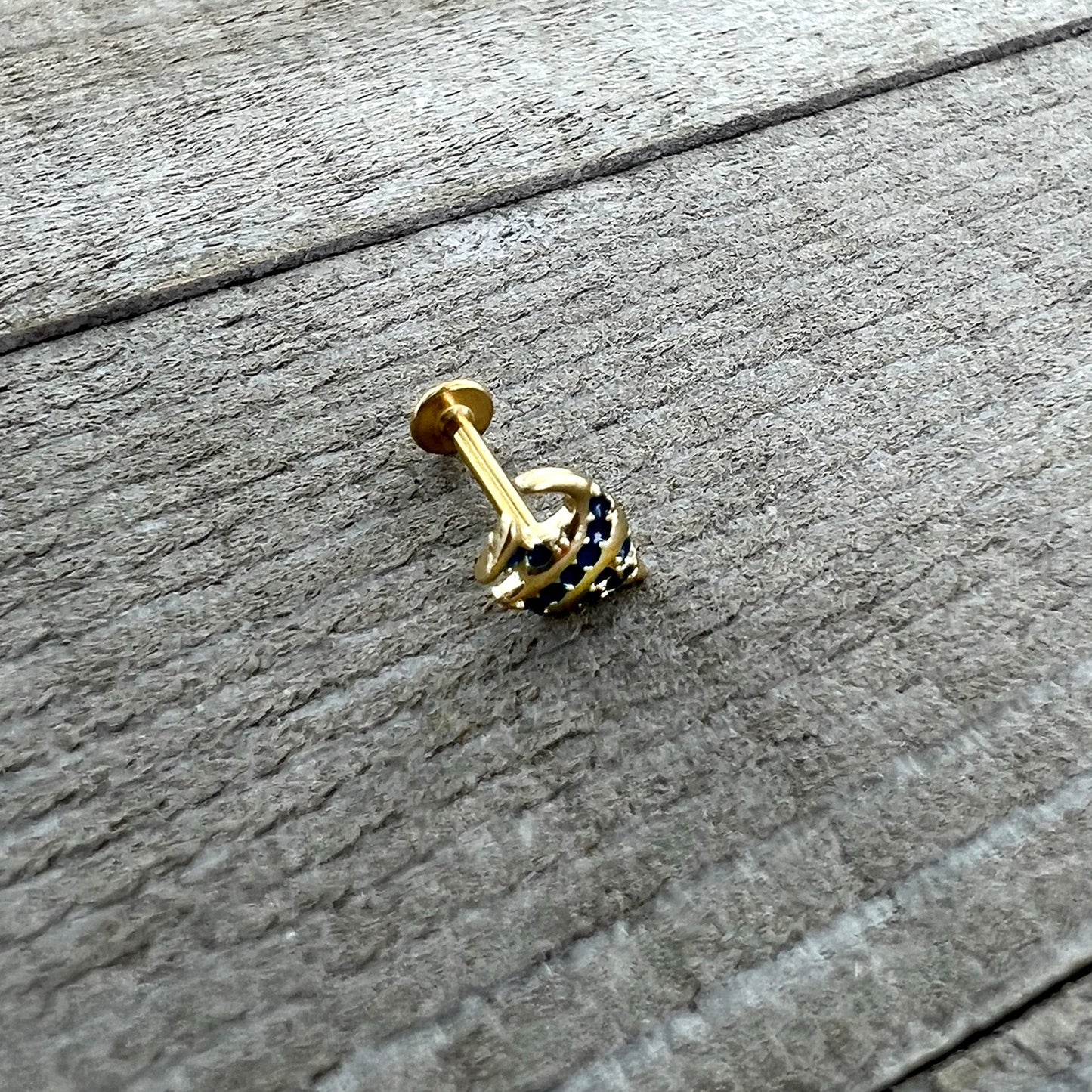 16 Gauge 5/16 Gold Tone Blue Adorable Angelfish Labret Monroe Tragus