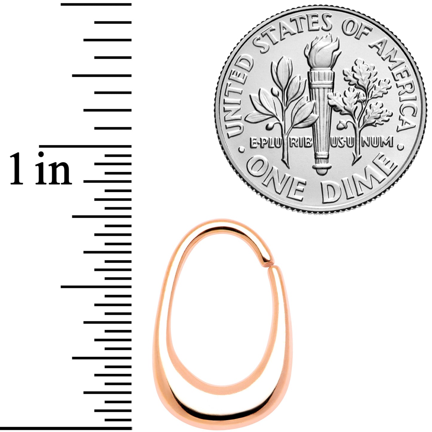 16 Gauge 5/16 Rose Gold Tone Oval Cartilage Tragus Daith
