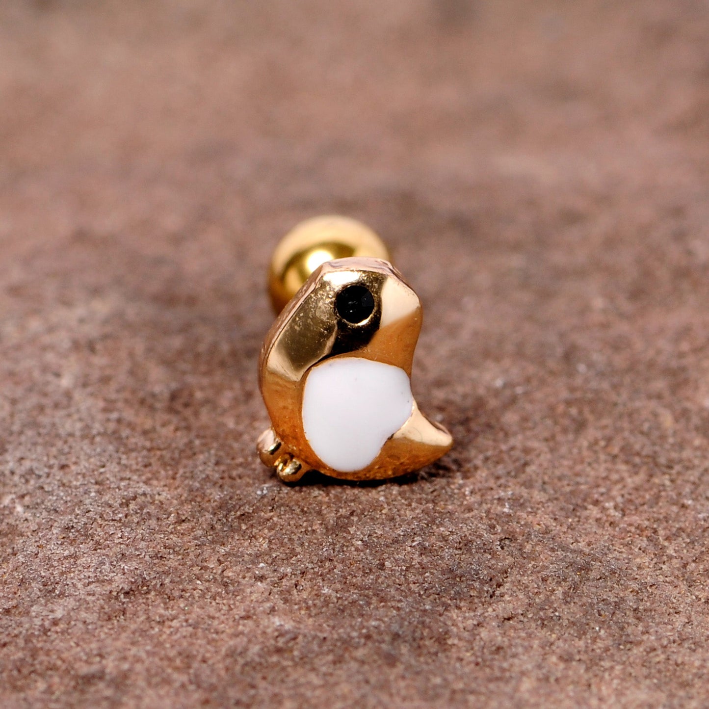 16 Gauge 1/4 Black Gem Gold Tone Baby Bird Cartilage Tragus Earring