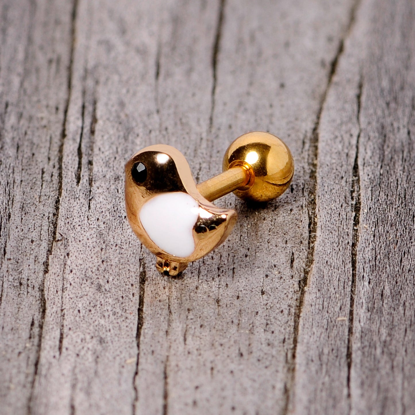 16 Gauge 1/4 Black Gem Gold Tone Baby Bird Cartilage Tragus Earring