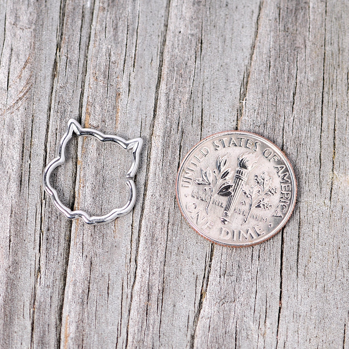 16 Gauge 3/8 Steel Barn Owl Halloween Cartilage Closure Ring