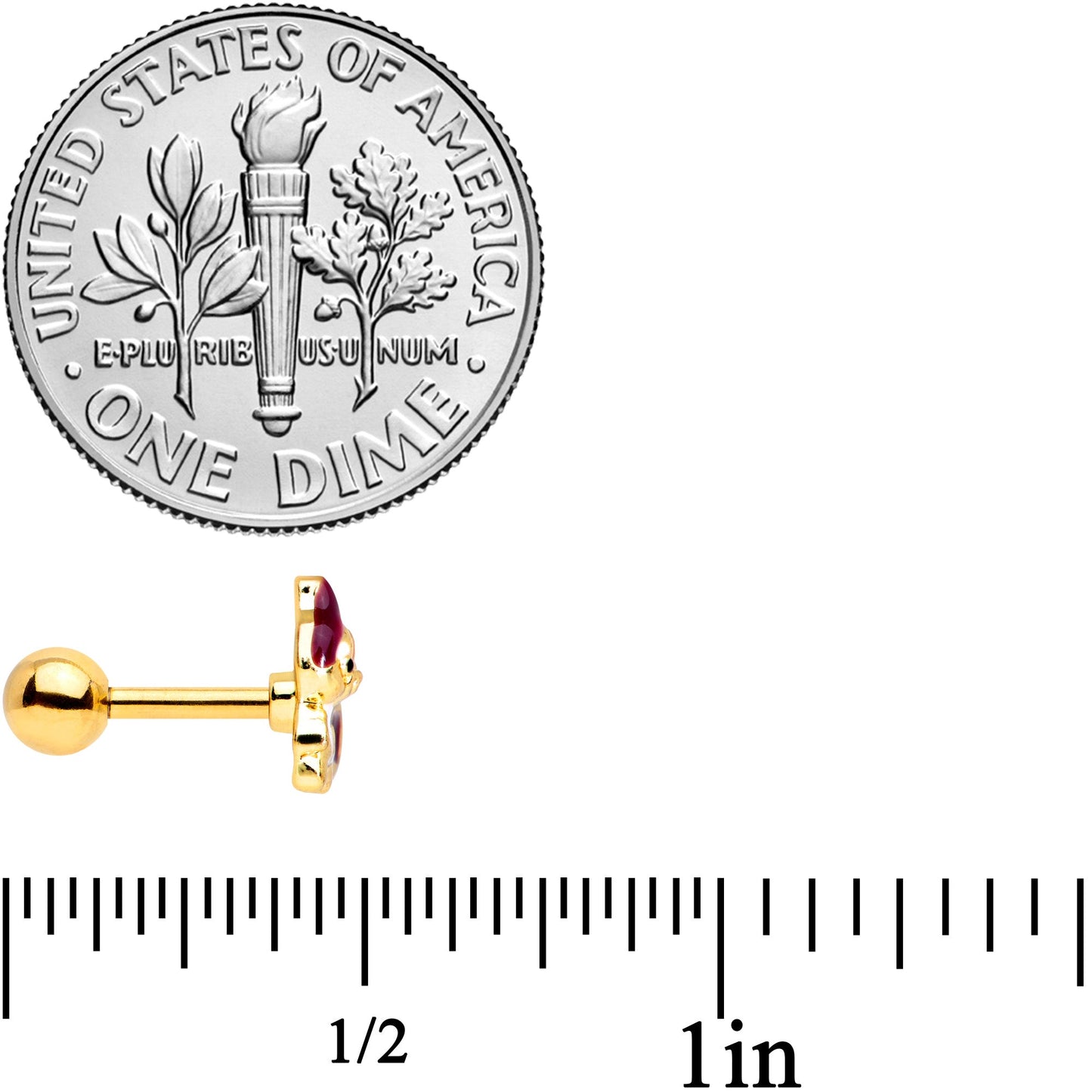 16 Gauge 1/4 Gold Tone Squirrel Cartilage Tragus Earring