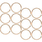 22 Gauge 5/16 Rose Gold Tone Anodized Seamless Circular Ring Set of 12