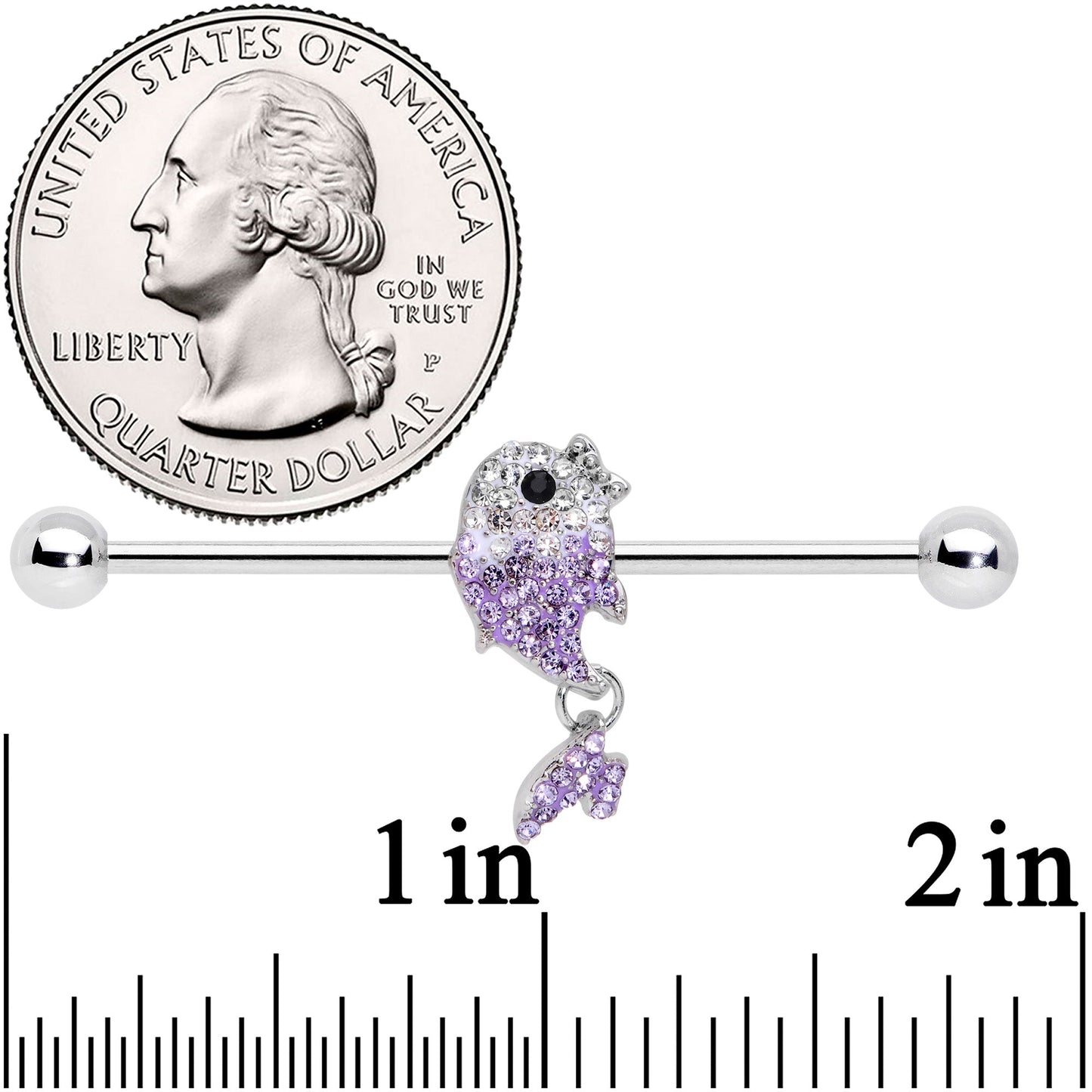 14 Gauge Clear Purple Gem Fish Dangle Industrial Barbell 38mm