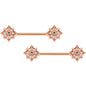 14 Gauge 9/16 Clear Gem Rose Gold Tone Evening Star Nipple Ring Set