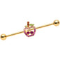 14 Gauge Pink Purple Gem Gold Hue Apple Cherry Industrial Barbell 38mm