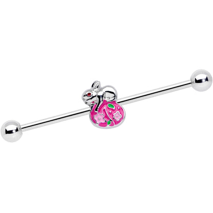 14 Gauge Bunny Rabbit Easter Egg Industrial Barbell 38mm