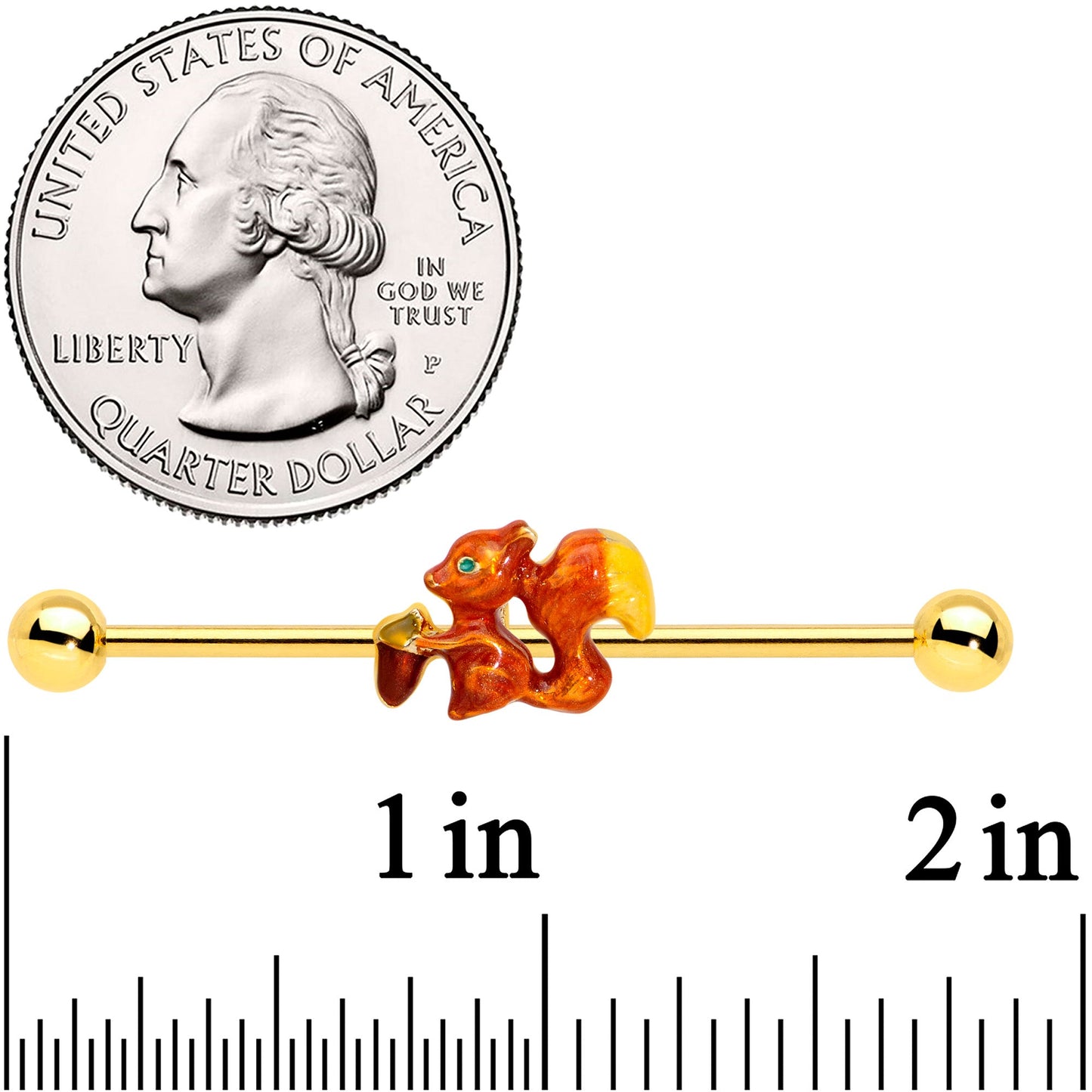 14 Gauge Gold Tone Brown Happy Squirrel Acorn Industrial Barbell 38mm