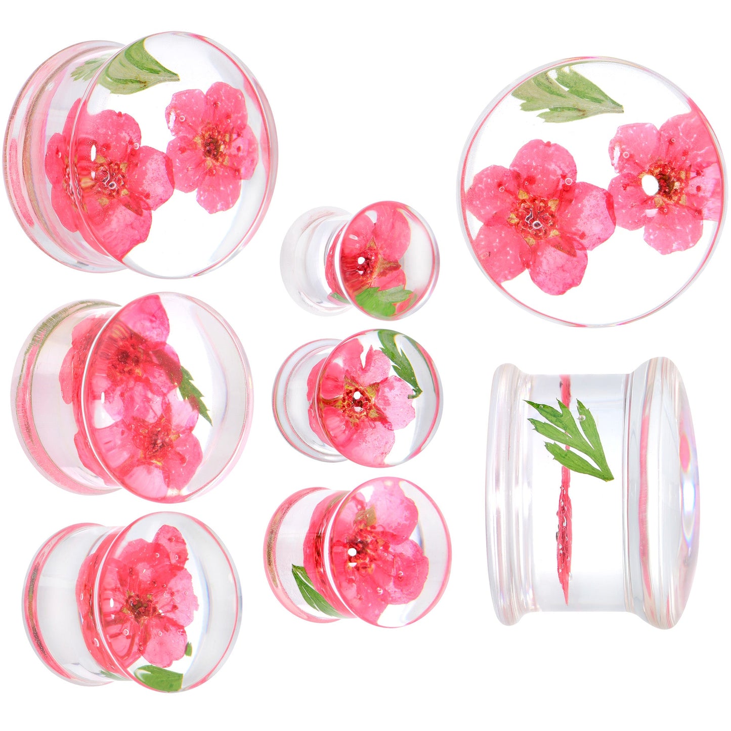 Clear Acrylic Color Pressed Flower Double Flare Plug Set