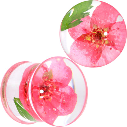 Clear Acrylic Color Pressed Flower Double Flare Plug Set